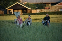 02-don-IMG_7935 (3)